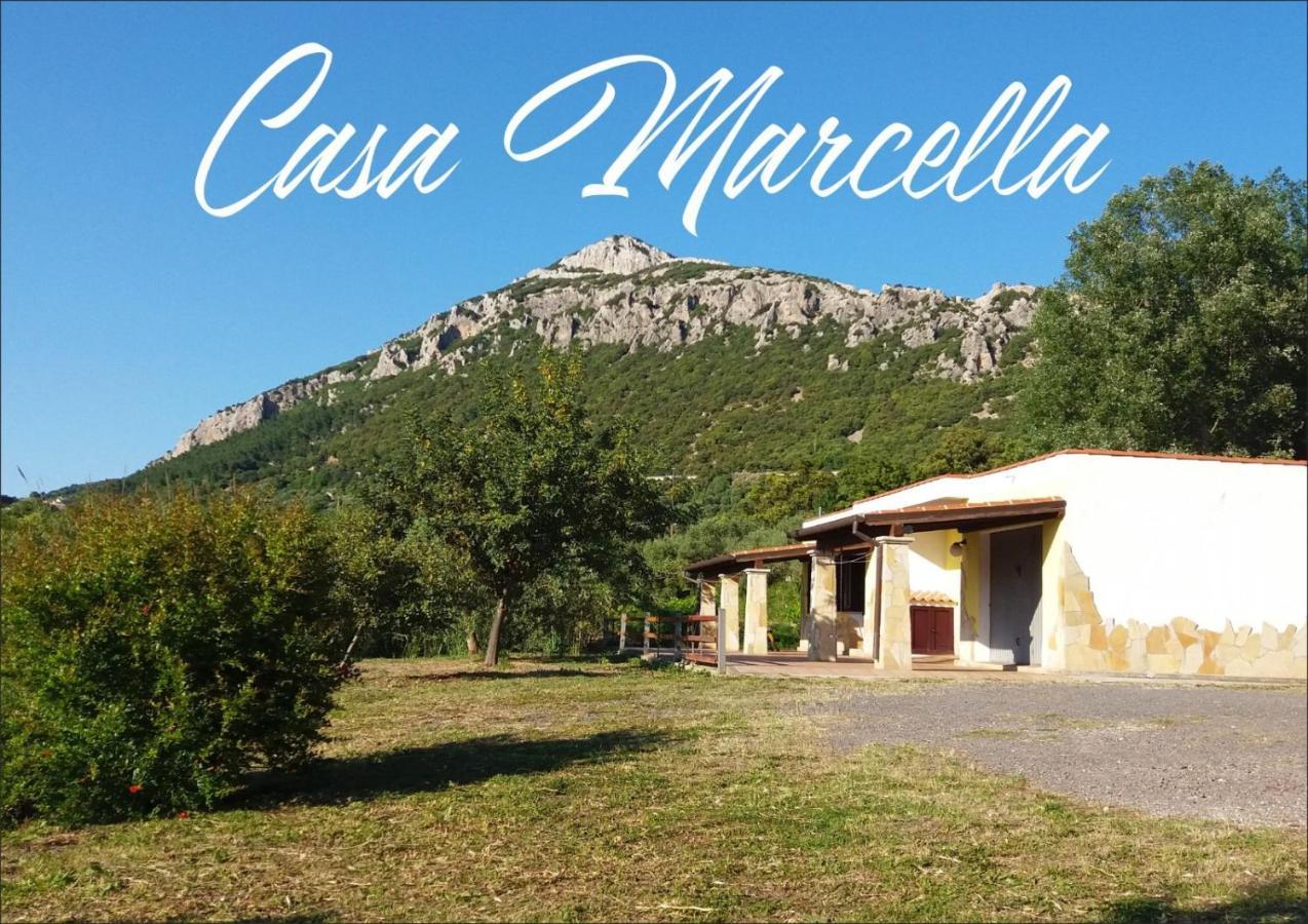 Ferienwohnung Casa Marcella Dorgali Exterior foto